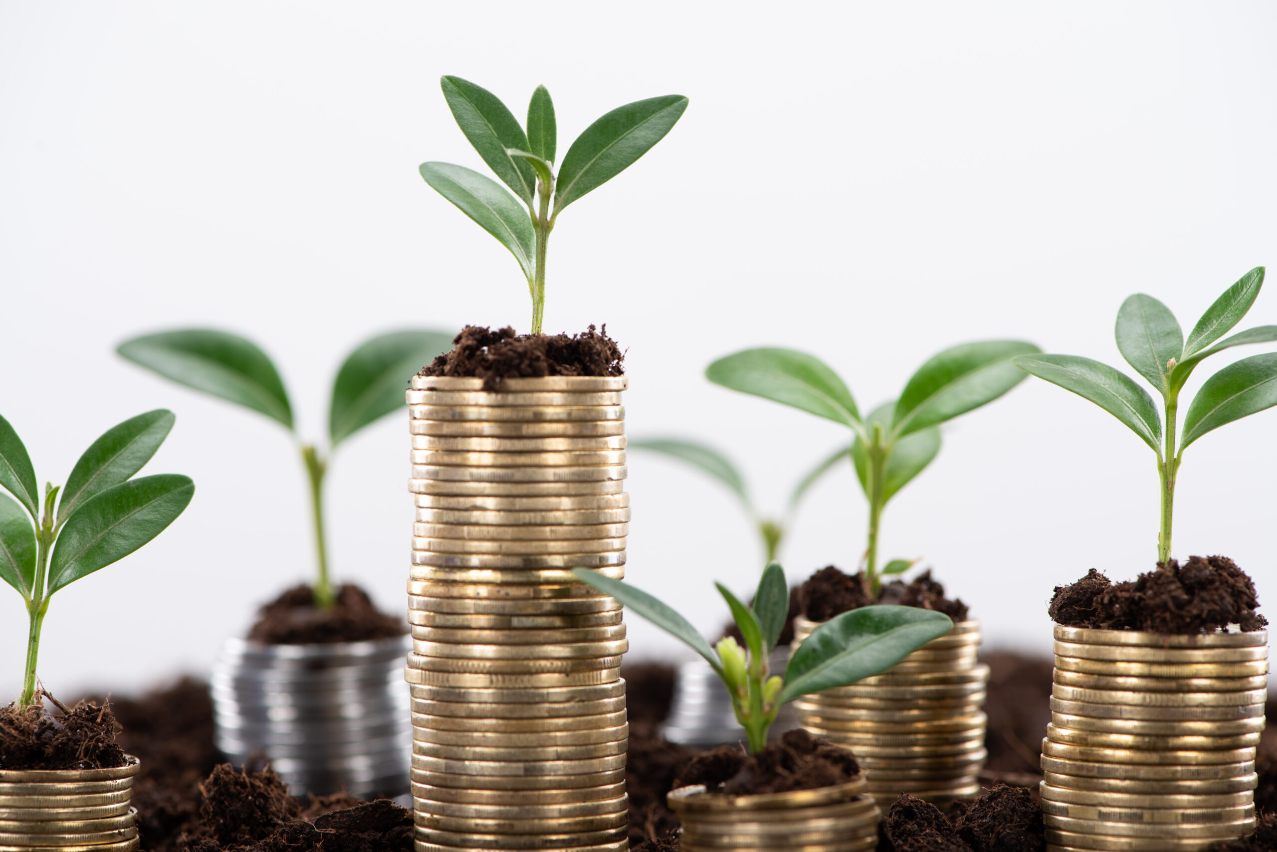 Financial <br>Services
